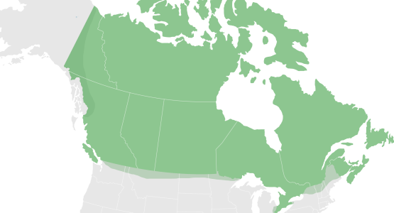 Map of the Canadian Territory